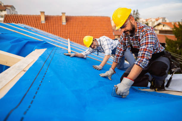 Best Roof Repair Services  in Haskins, OH