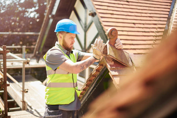 Best Gutter Installation and Roofing  in Haskins, OH